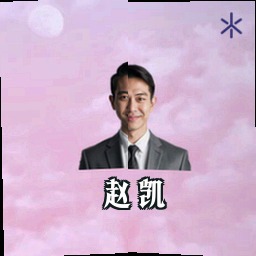赵凯